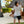 Load image into Gallery viewer, Eyes Split Boardshorts - Black/White