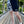 Load image into Gallery viewer, Eyes Split Boardshorts - Black/White