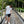 Load image into Gallery viewer, Eyes Split Boardshorts - Black/White