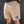 Load image into Gallery viewer, Eyes Sphere Staple Shorts - Khaki