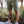 Load image into Gallery viewer, Eyes Staple Shorts - Military