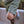 Load image into Gallery viewer, Eyes Staple Shorts - Military